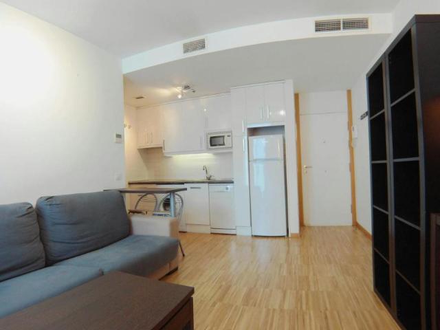 Alquiler Apartamentos Madrid Madrid DS102554314