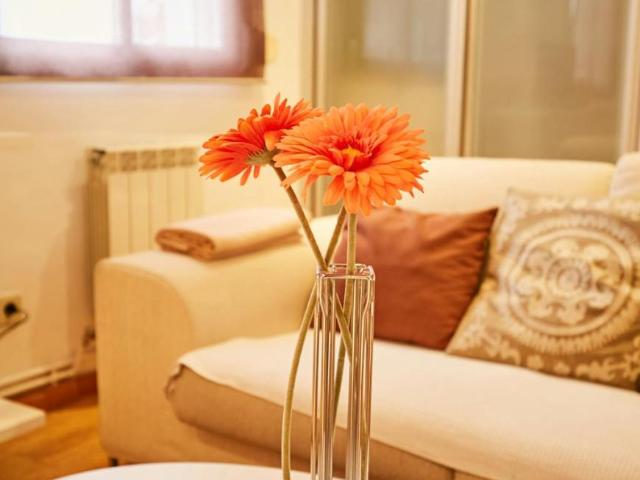 Alquiler Apartamentos Madrid Madrid DS102854812