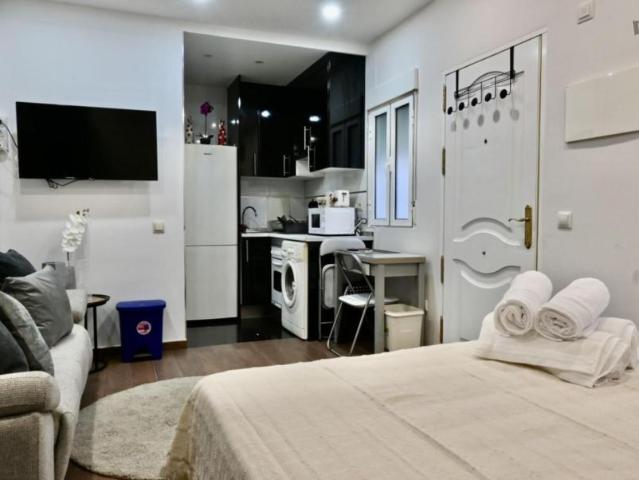 Alquiler Apartamentos Madrid Madrid DS103261520