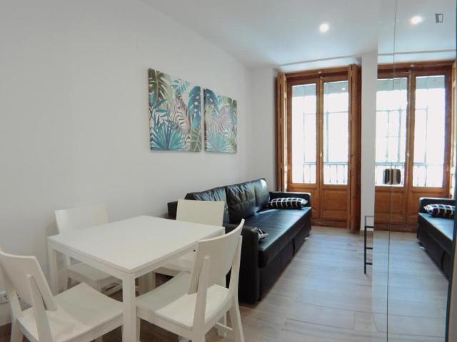 Alquiler Apartamentos Madrid Madrid DS103262162