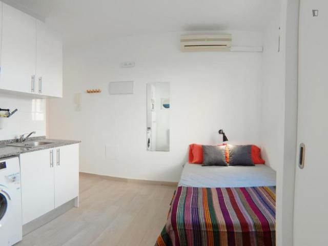 Alquiler Apartamentos Madrid Madrid DS103262459