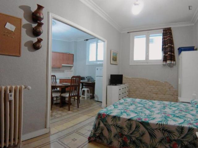 Alquiler Apartamentos Madrid Madrid DS103262868