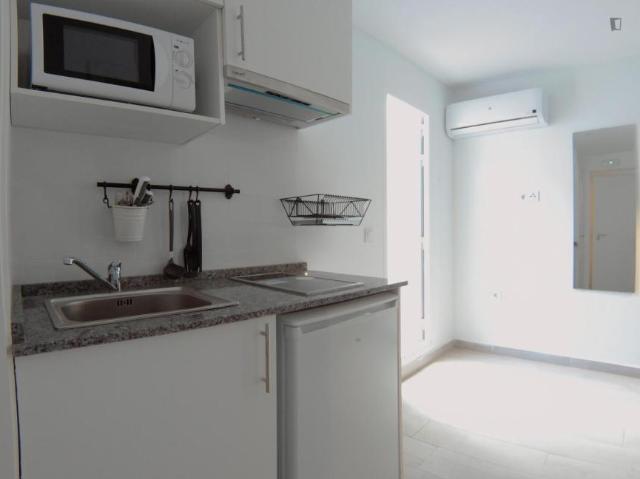 Alquiler Apartamentos Madrid Madrid DS103262989