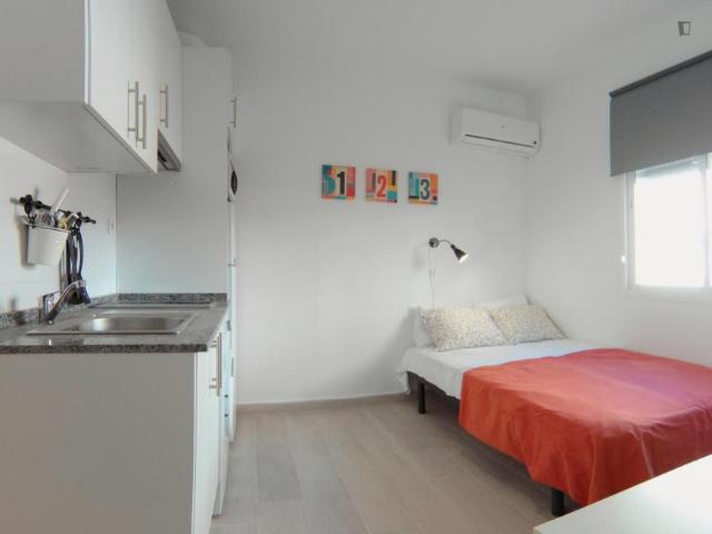 Alquiler Apartamentos Madrid Madrid DS103263258