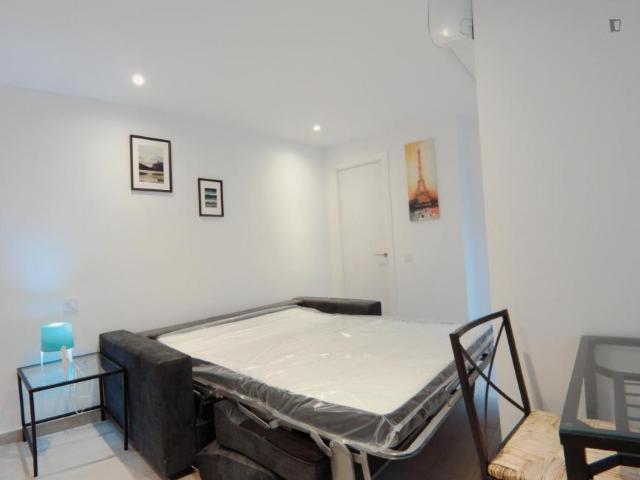 Alquiler Apartamentos Madrid Madrid DS103263491