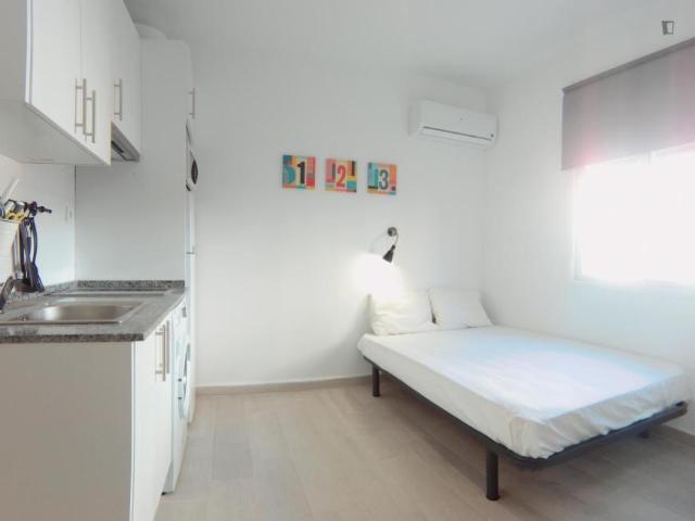 Alquiler Apartamentos Madrid Madrid DS103264035