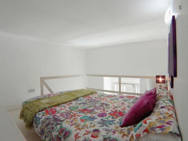 Alquiler Apartamentos Madrid Madrid DS103264759