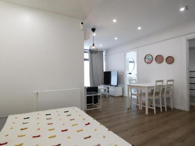 Alquiler Apartamentos Madrid Madrid DS103264858