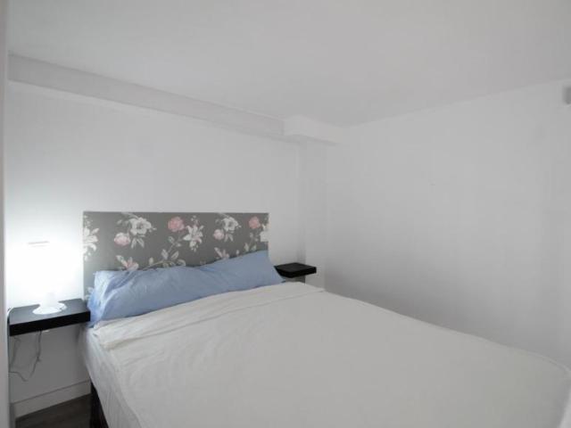 Alquiler Apartamentos Madrid Madrid DS103264825