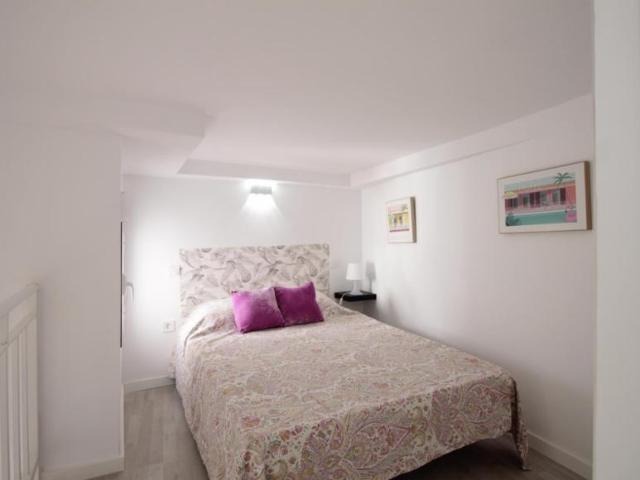 Alquiler Apartamentos Madrid Madrid DS103265041