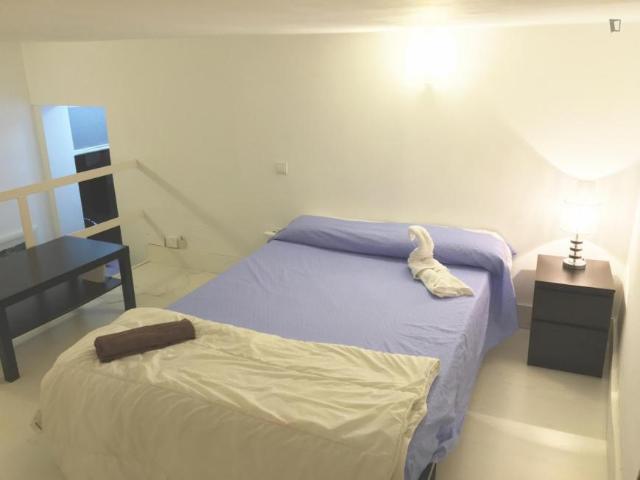 Alquiler Apartamentos Madrid Madrid DS103266274