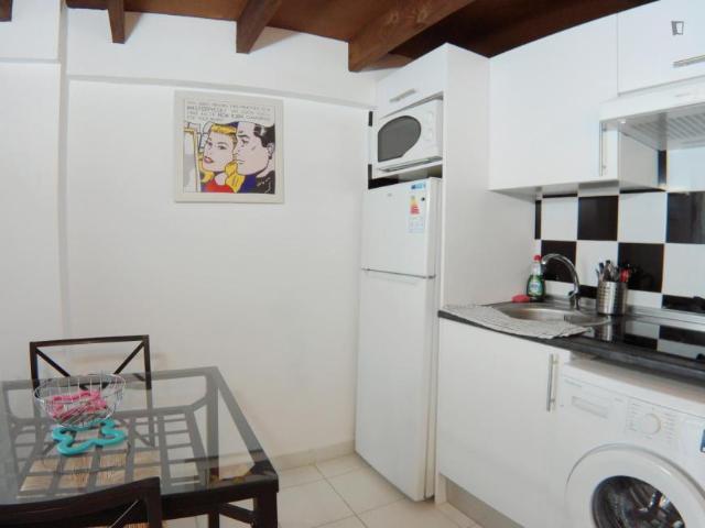 Alquiler Apartamentos Madrid Madrid DS103266790