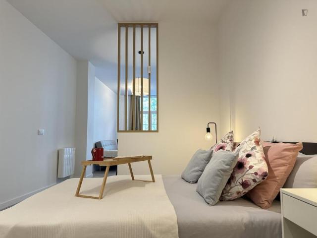 Alquiler Apartamentos Madrid Madrid DS103267730