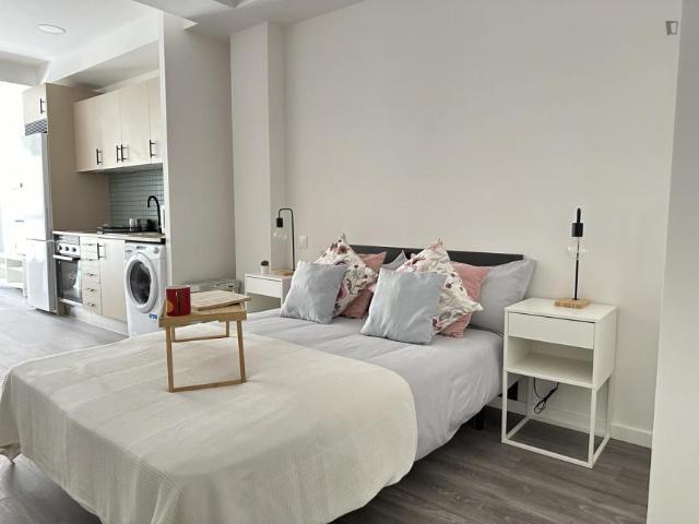 Alquiler Apartamentos Madrid Madrid DS103269461