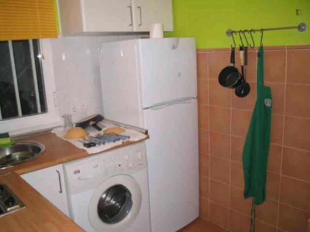 Alquiler Apartamentos Madrid Madrid DS103270492