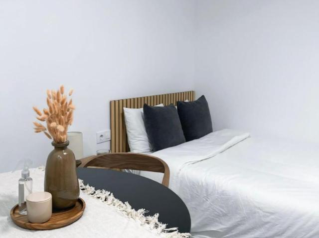 Alquiler Apartamentos Madrid Madrid DS103271389