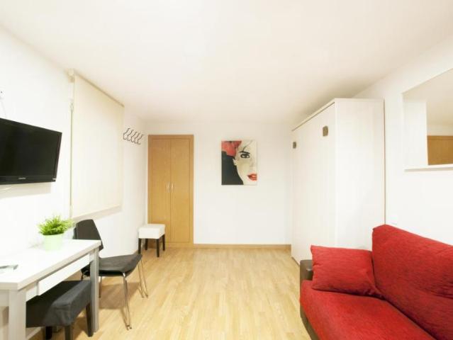 Alquiler Apartamentos Madrid Madrid DS103273465