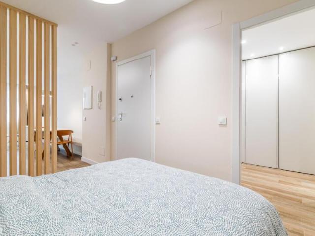 Alquiler Apartamentos Madrid Madrid DS103274254