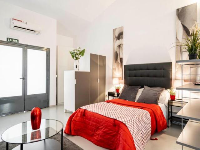 Alquiler Apartamentos Madrid Madrid DS103277538