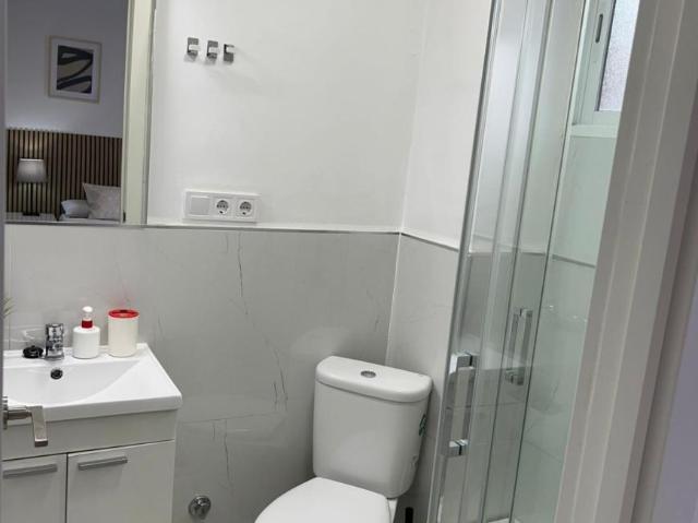 Alquiler Apartamentos Madrid Madrid DS103283177
