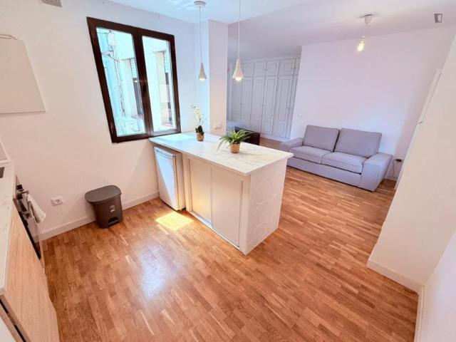 Alquiler Apartamentos Madrid Madrid DS103283206
