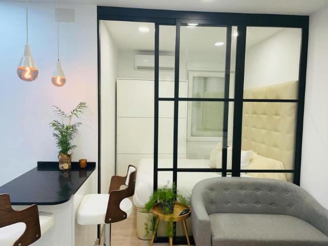 Alquiler Apartamentos Madrid Madrid DS103303515