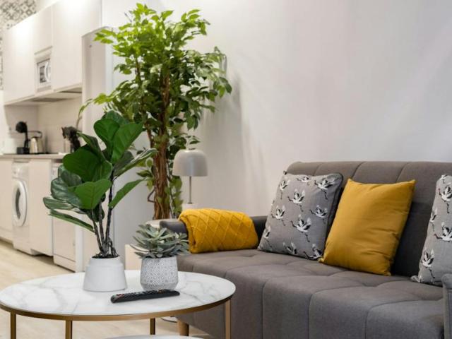 Alquiler Apartamentos Madrid Madrid DS103324827