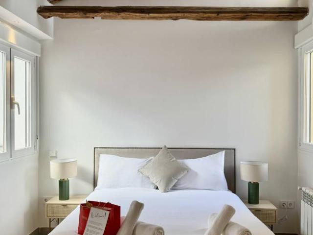 Alquiler Apartamentos Madrid Madrid DS103428015