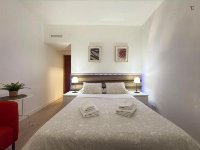 Alquiler Apartamentos Madrid Madrid DS103594843