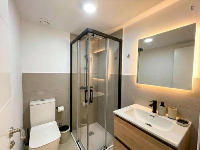 Alquiler Apartamentos Madrid Madrid DS103595239