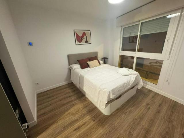 Alquiler Apartamentos Madrid Madrid DS103654017