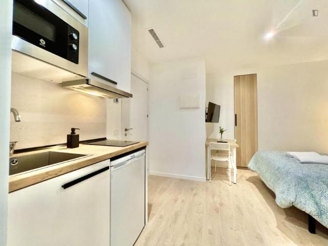 Alquiler Apartamentos Madrid Madrid DS103612351