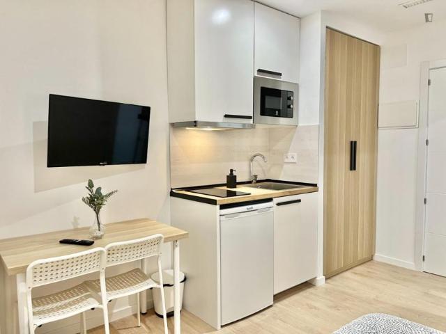 Alquiler Apartamentos Madrid Madrid DS103612354