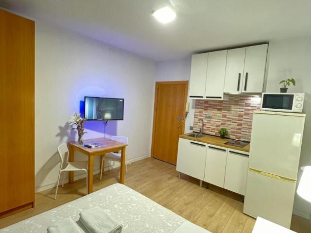 Alquiler Apartamentos Madrid Madrid DS103740958