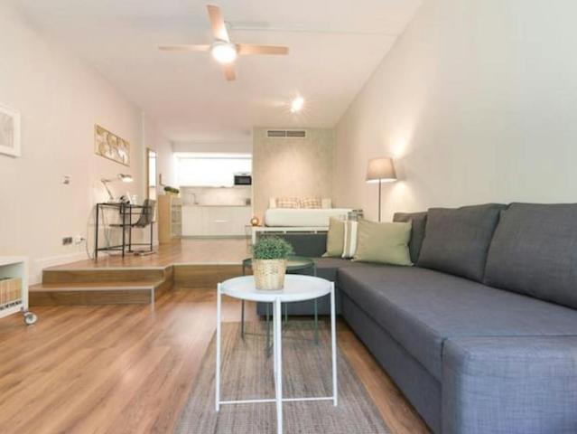 Alquiler Apartamentos Madrid Madrid DS104069362