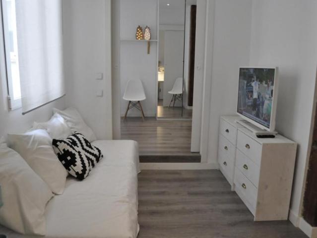 Alquiler Apartamentos Madrid Madrid DS104107100