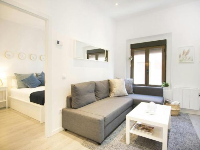Alquiler Apartamentos Madrid Madrid DS104258447