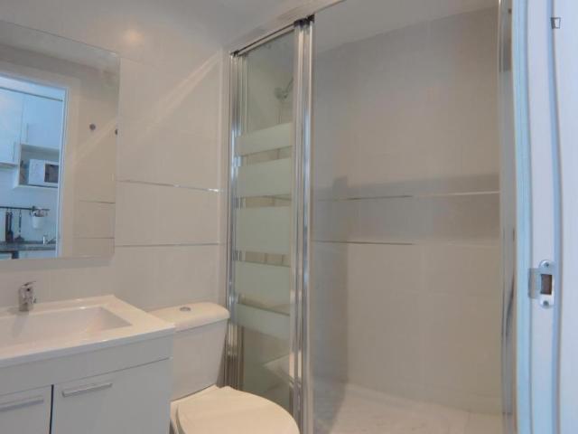 Alquiler Apartamentos Madrid Madrid DS104682088