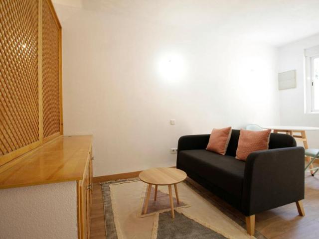 Alquiler Apartamentos Madrid Madrid DS104754990