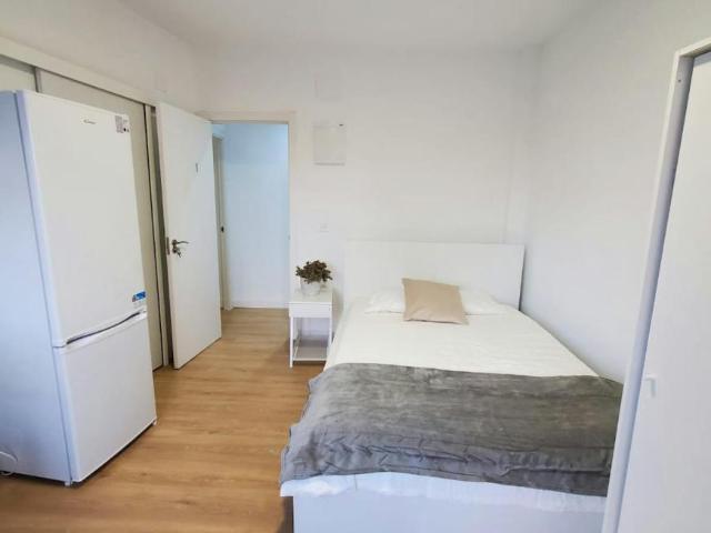 Alquiler Apartamentos Madrid Madrid DS104783781