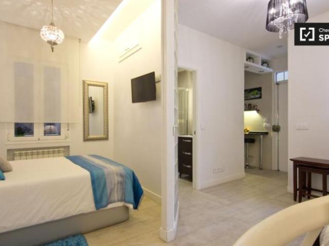 Alquiler Apartamentos Madrid Madrid DS104714024