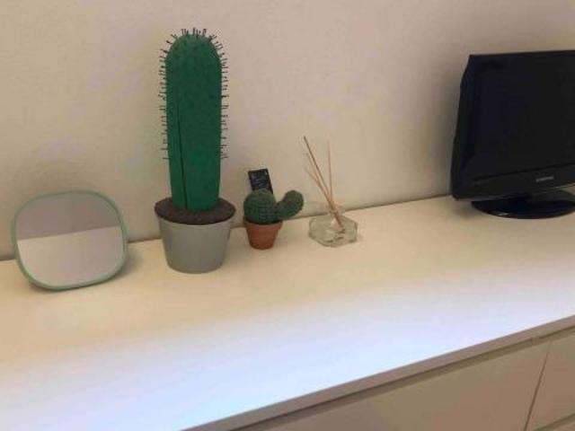 Alquiler Apartamentos Madrid Madrid DS57921435