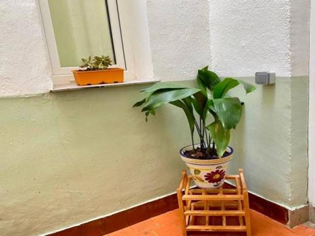 Alquiler Apartamentos Madrid Madrid DS65633752