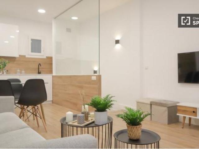 Alquiler Apartamentos Madrid Madrid DS61618038