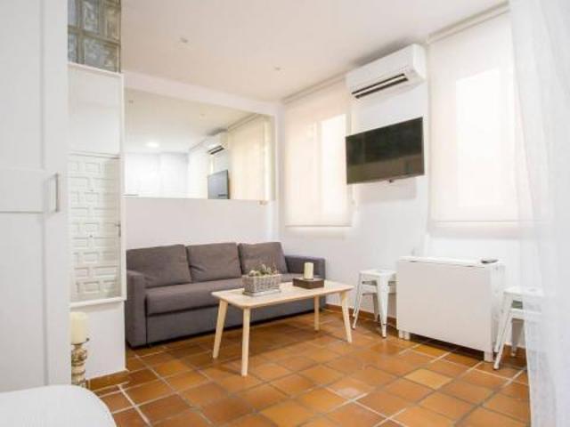 Alquiler Apartamentos Madrid Madrid DS87492407