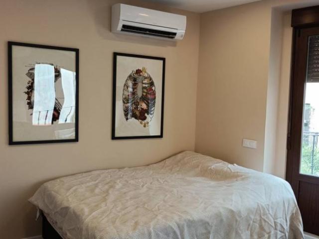 Alquiler Apartamentos Madrid Madrid DS94257039