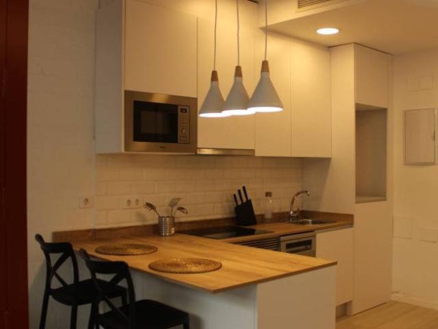 Alquiler Apartamentos Madrid Madrid DS94829218