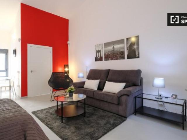 Alquiler Apartamentos Madrid Madrid DS96498507