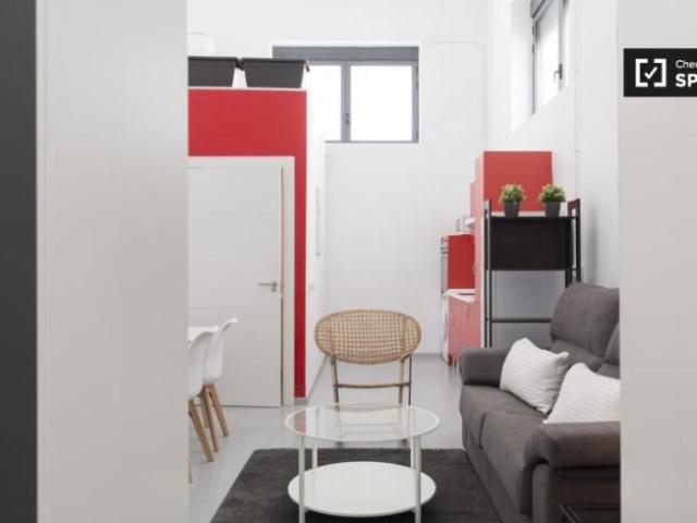 Alquiler Apartamentos Madrid Madrid DS97132760