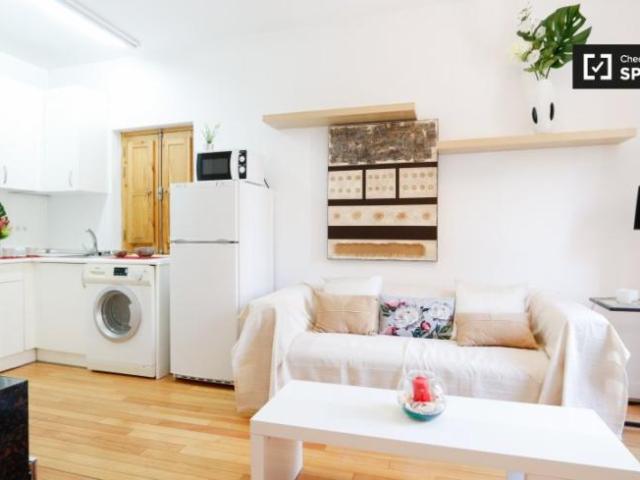 Alquiler Apartamentos Madrid Madrid DS97132775